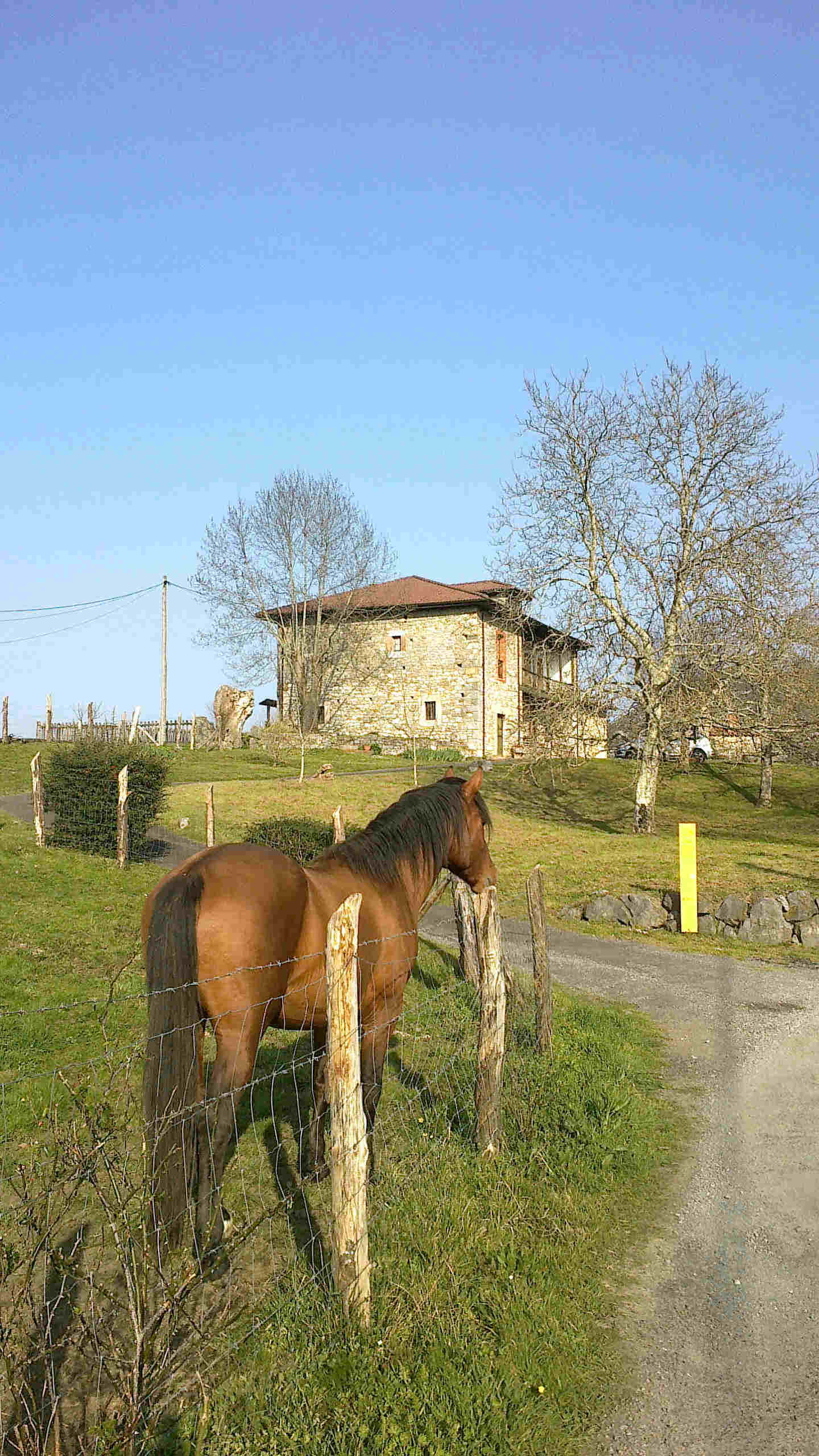 caballo en casa rural